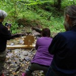 Am Waldbach2
