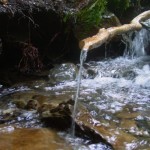 Wasserrinnen am Bach